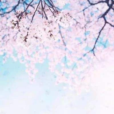 数码编年史手游